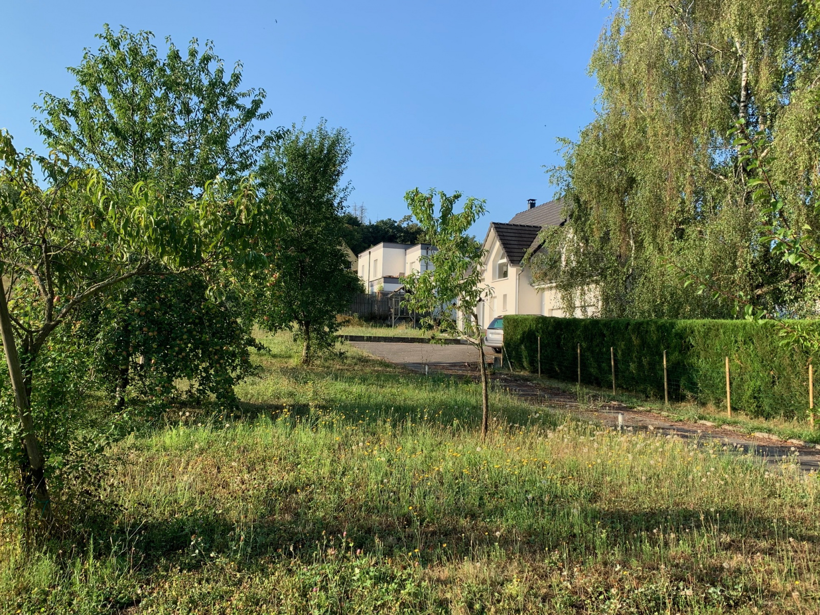 Image_, Maison, Wittersdorf, ref :6284